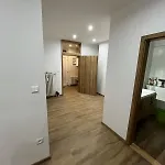 V *