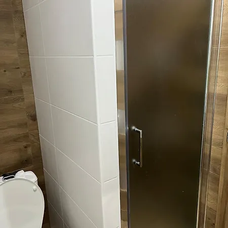 V Holíč